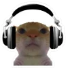 🤩 Эмодзи «Котеки Tg» для Telegram