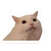 🤩 Эмодзи «Котеки Tg» для Telegram