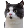 🤩 Эмодзи «Котеки Tg» для Telegram