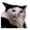 🤩 Эмодзи «Котеки Tg» для Telegram
