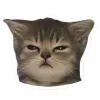 🤩 Эмодзи «Котеки Tg» для Telegram