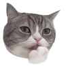 🤩 Эмодзи «Котеки Tg» для Telegram