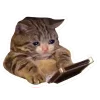 🤩 Эмодзи «Котеки Tg» для Telegram