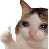 🤩 Эмодзи «Котеки Tg» для Telegram