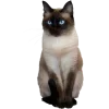 🤩 Эмодзи «Котеки Tg» для Telegram