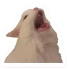 🤩 Эмодзи «Котеки Tg» для Telegram