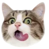 🤩 Эмодзи «Котеки Tg» для Telegram