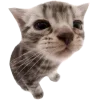 🤩 Эмодзи «Котеки Tg» для Telegram
