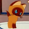 🤩 Эмодзи «Котенок По Имени» для Telegram