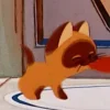🤩 Эмодзи «Котенок По Имени» для Telegram