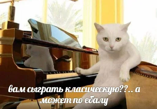 Стикерпак Котейчество для Telegram — скачать