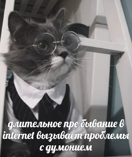 😚 Стикер «Котейчество» для Telegram