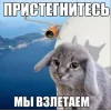 🤩 Эмодзи «Котик» для Telegram