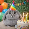🤩 Эмодзи «Котик» для Telegram