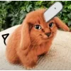 🤩 Эмодзи «Котик» для Telegram