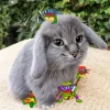 🤩 Эмодзи «Котик» для Telegram