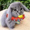 🤩 Эмодзи «Котик» для Telegram