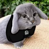 🤩 Эмодзи «Котик» для Telegram