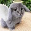 🤩 Эмодзи «Котик» для Telegram