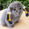 🤩 Эмодзи «Котик» для Telegram