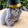 🤩 Эмодзи «Котик» для Telegram
