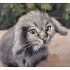 🤩 Эмодзи «Котик» для Telegram