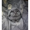 🤩 Эмодзи «Котик» для Telegram