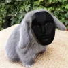 🤩 Эмодзи «Котик» для Telegram