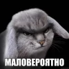 🤩 Эмодзи «Котик» для Telegram