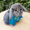 🤩 Эмодзи «Котик» для Telegram