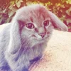 🤩 Эмодзи «Котик» для Telegram