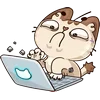 🤩 Эмодзи «Котик Вк» для Telegram