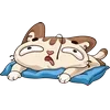 🤩 Эмодзи «Котик Вк» для Telegram