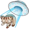 🤩 Эмодзи «Котик Вк» для Telegram