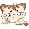 🤩 Эмодзи «Котик Вк» для Telegram