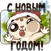 🤩 Эмодзи «Котик Вк» для Telegram