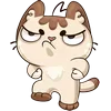 🤩 Эмодзи «Котик Вк» для Telegram