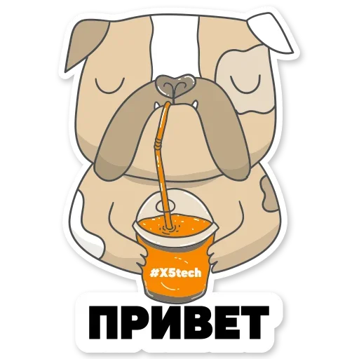 Стикерпак Котик Айтишник для Telegram — скачать