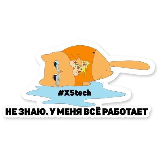 🤪 Стикер «Котик Айтишник» для Telegram