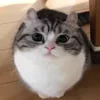 🎈 Эмодзи «Kotik Emoji» для Telegram