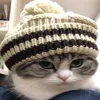 💂 Эмодзи «Kotik Emoji» для Telegram