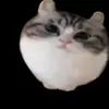 🔝 Эмодзи «Kotik Emoji» для Telegram