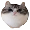 🎈 Эмодзи «Kotik Emoji» для Telegram