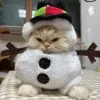 🤩 Эмодзи «彡 Котики 𖥔» для Telegram
