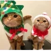 🤩 Эмодзи «彡 Котики 𖥔» для Telegram