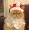 🤩 Эмодзи «彡 Котики 𖥔» для Telegram