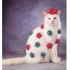 🤩 Эмодзи «彡 Котики 𖥔» для Telegram