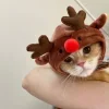 🤩 Эмодзи «彡 Котики 𖥔» для Telegram