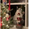 🤩 Эмодзи «彡 Котики 𖥔» для Telegram