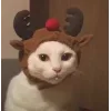 🤩 Эмодзи «彡 Котики 𖥔» для Telegram